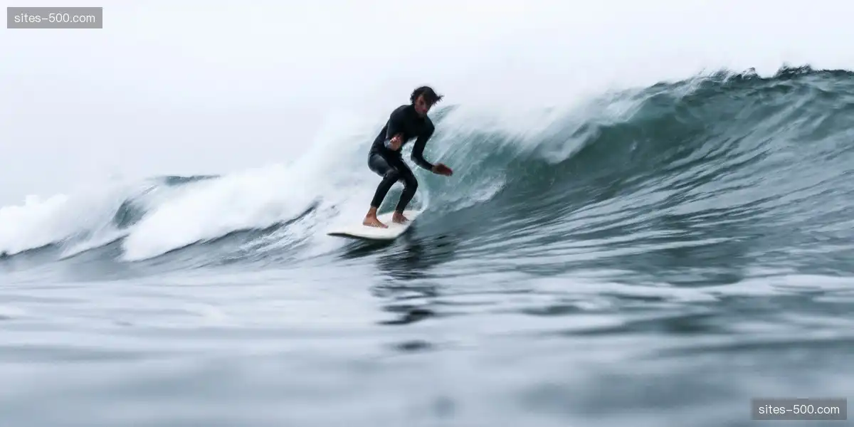 精准数据反馈 支持经营决策